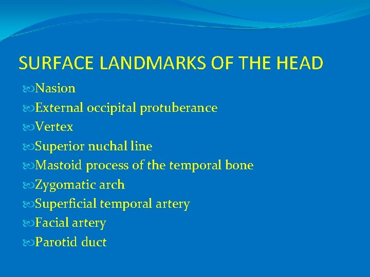 SURFACE LANDMARKS OF THE HEAD Nasion External occipital protuberance Vertex Superior nuchal line Mastoid