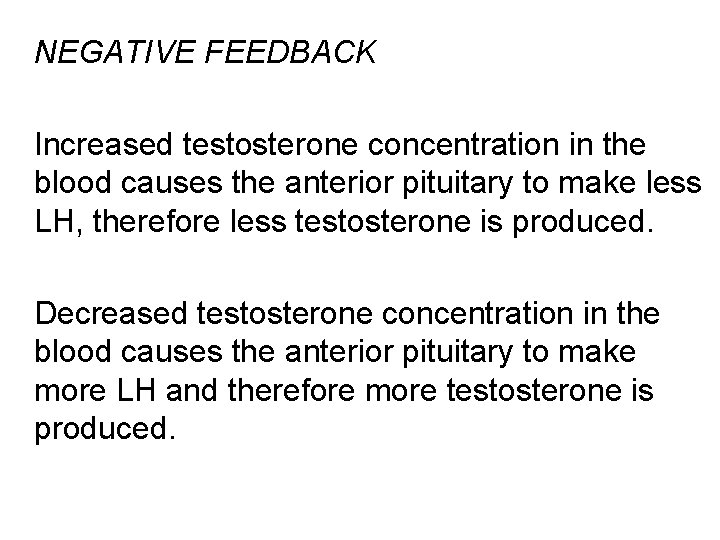  NEGATIVE FEEDBACK Increased testosterone concentration in the blood causes the anterior pituitary to
