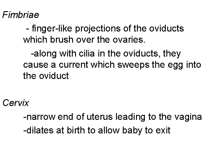 Fimbriae - finger-like projections of the oviducts which brush over the ovaries. -along with