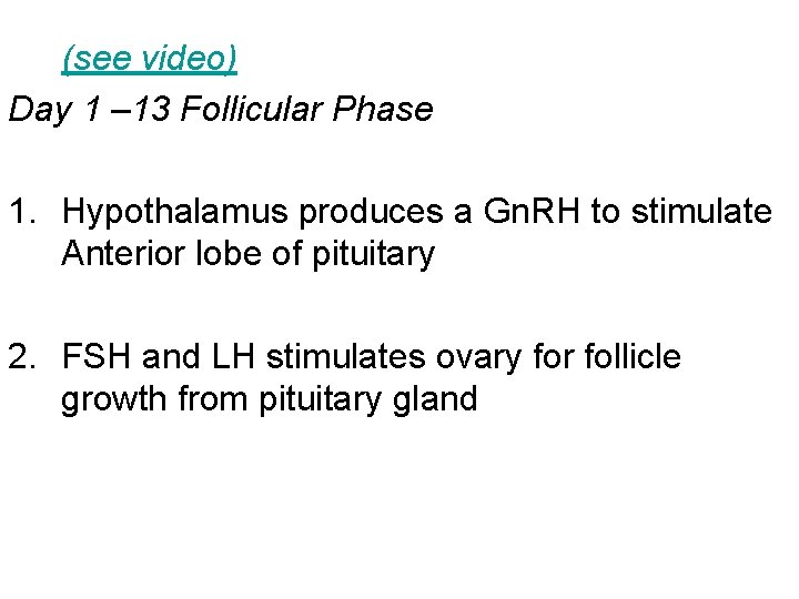 (see video) Day 1 – 13 Follicular Phase 1. Hypothalamus produces a Gn. RH