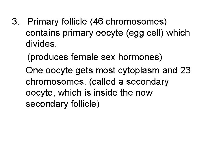 3. Primary follicle (46 chromosomes) contains primary oocyte (egg cell) which divides. (produces female