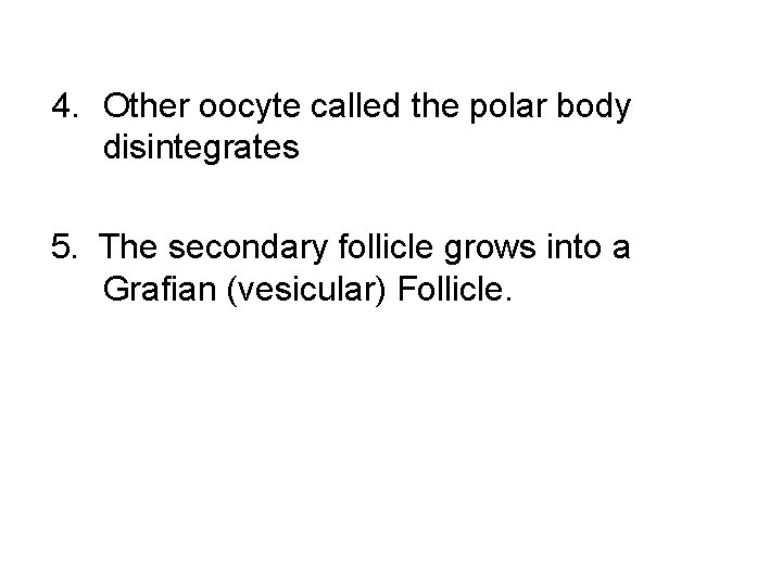 4. Other oocyte called the polar body disintegrates 5. The secondary follicle grows into