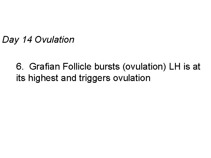 Day 14 Ovulation 6. Grafian Follicle bursts (ovulation) LH is at its highest and