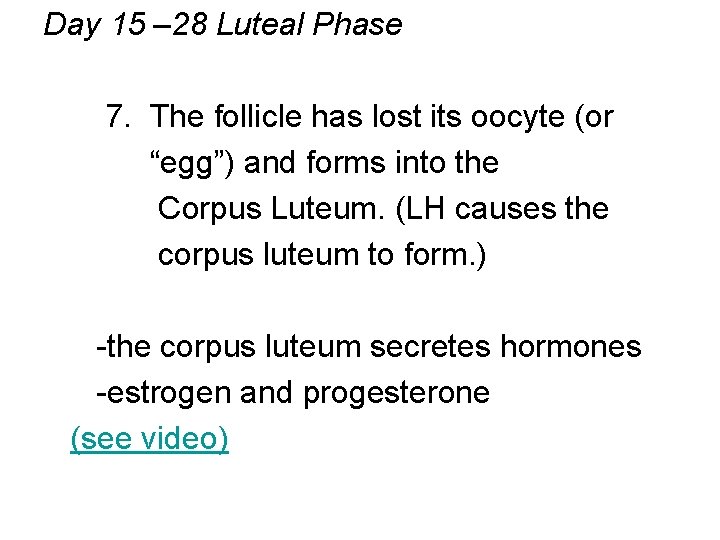 Day 15 – 28 Luteal Phase 7. The follicle has lost its oocyte (or