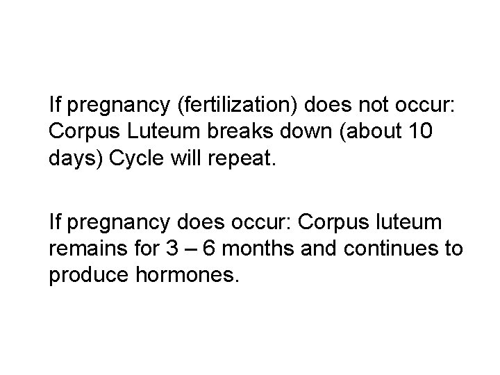  If pregnancy (fertilization) does not occur: Corpus Luteum breaks down (about 10 days)