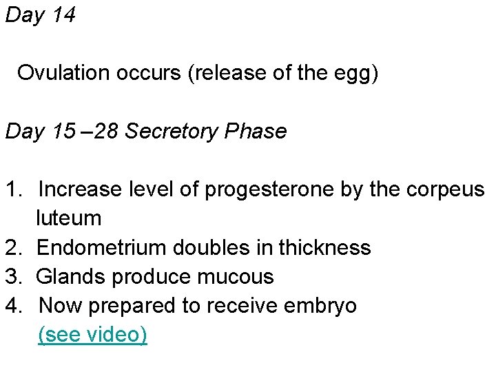 Day 14 Ovulation occurs (release of the egg) Day 15 – 28 Secretory Phase