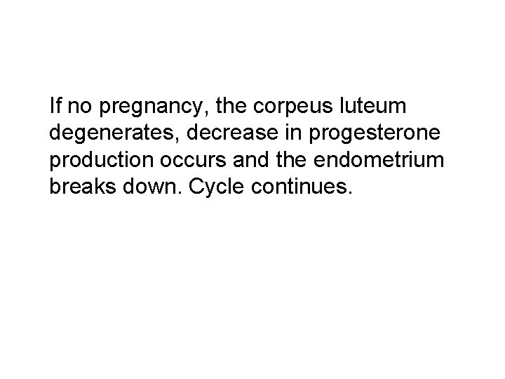  If no pregnancy, the corpeus luteum degenerates, decrease in progesterone production occurs and