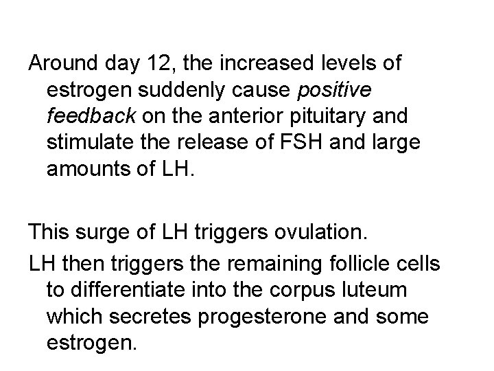 Around day 12, the increased levels of estrogen suddenly cause positive feedback on the