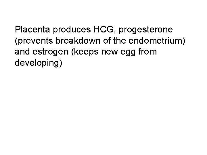  Placenta produces HCG, progesterone (prevents breakdown of the endometrium) and estrogen (keeps new