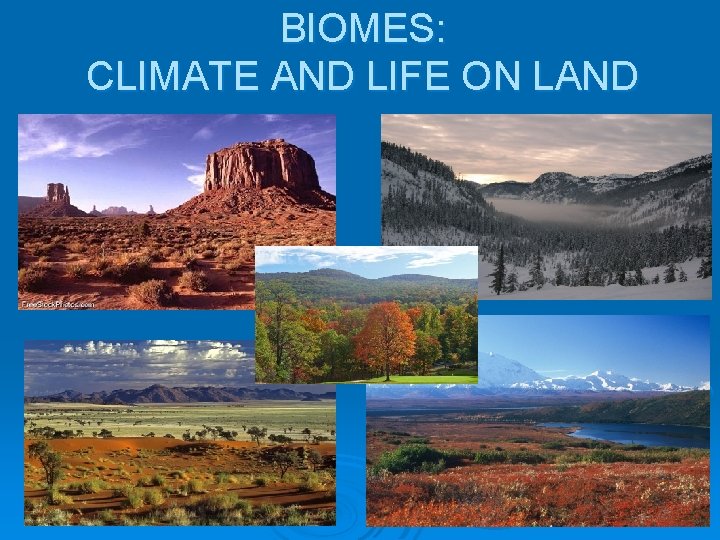 BIOMES: CLIMATE AND LIFE ON LAND 