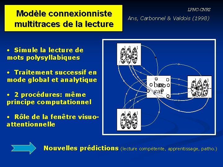 Modèle connexionniste multitraces de la lecture • Simule la lecture de mots polysyllabiques LPNC-CNRS