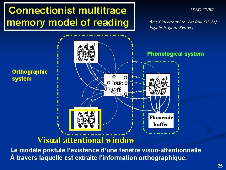Connectionist multitrace memory model of reading LPNC-CNRS Ans, Carbonnel & Valdois (1998) Psychological Review