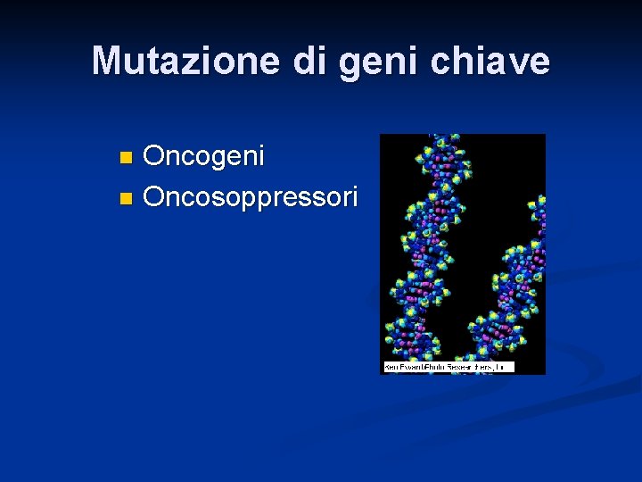 Mutazione di geni chiave Oncogeni n Oncosoppressori n 