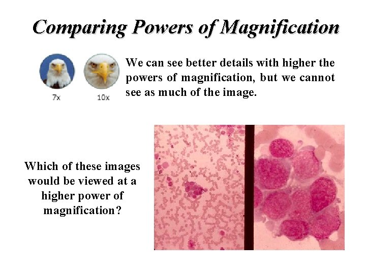 Comparing Powers of Magnification We can see better details with higher the powers of