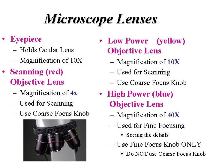 Microscope Lenses • Eyepiece – Holds Ocular Lens – Magnification of 10 X •