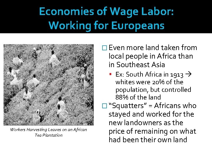 Economies of Wage Labor: Working for Europeans � Even more land taken from local