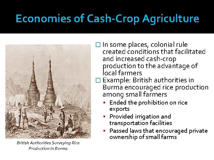 Economies of Cash-Crop Agriculture � In some places, colonial rule created conditions that facilitated