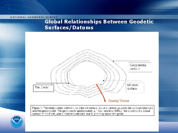 Global Relationships Between Geodetic Surfaces/Datums Gravity Vector 