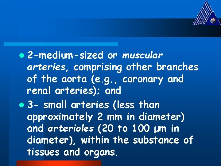 l 2 -medium-sized or muscular arteries, comprising other branches of the aorta (e. g.