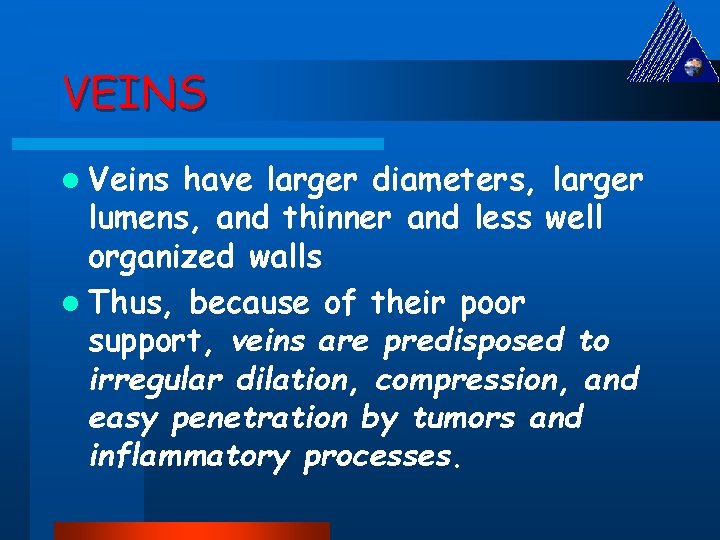 VEINS l Veins have larger diameters, larger lumens, and thinner and less well organized