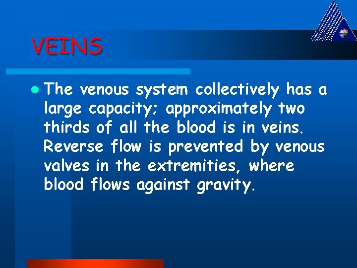 VEINS l The venous system collectively has a large capacity; approximately two thirds of