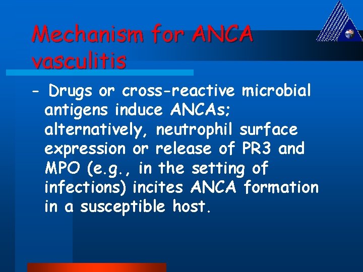 Mechanism for ANCA vasculitis - Drugs or cross-reactive microbial antigens induce ANCAs; alternatively, neutrophil