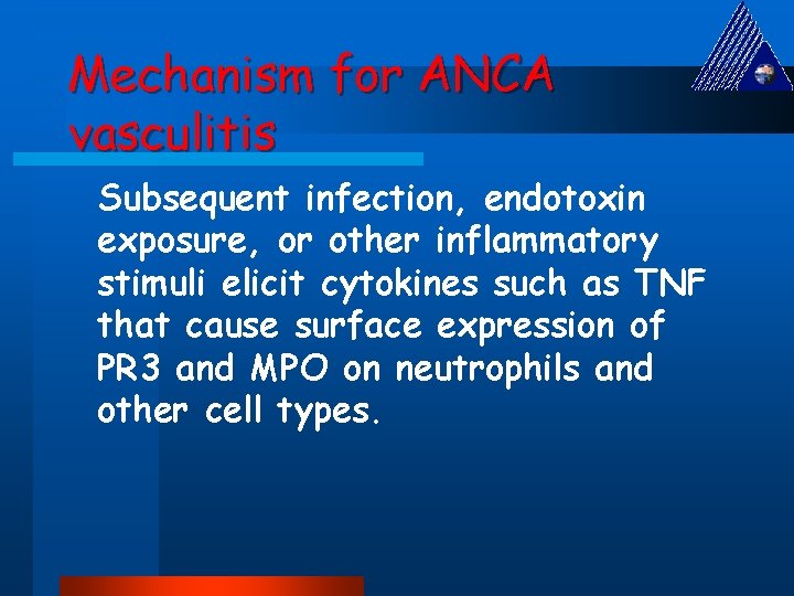 Mechanism for ANCA vasculitis Subsequent infection, endotoxin exposure, or other inflammatory stimuli elicit cytokines