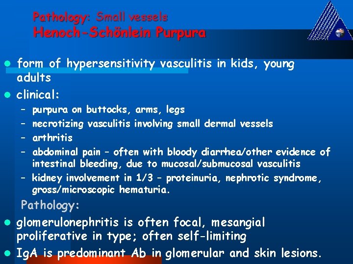 Pathology: Small vessels Henoch-Schönlein Purpura form of hypersensitivity vasculitis in kids, young adults l