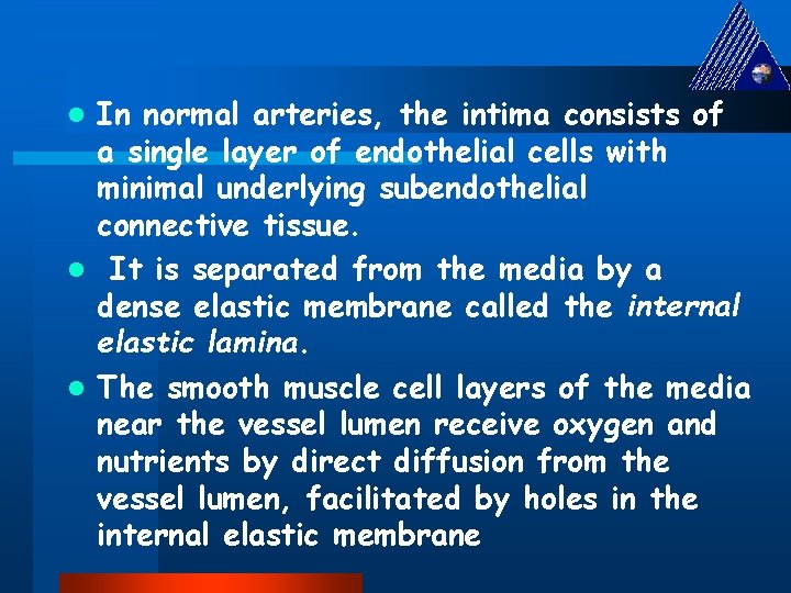 In normal arteries, the intima consists of a single layer of endothelial cells with