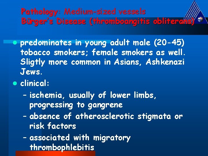 Pathology: Medium-sized vessels Bürger’s Disease (thromboangitis obliterans) predominates in young adult male (20 -45)