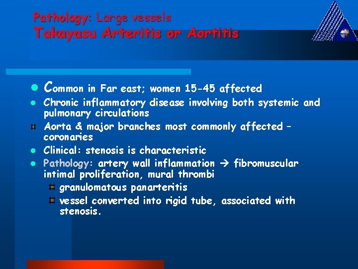 Pathology: Large vessels Takayasu Arteritis or Aortitis Common in Far east; women 15 -45