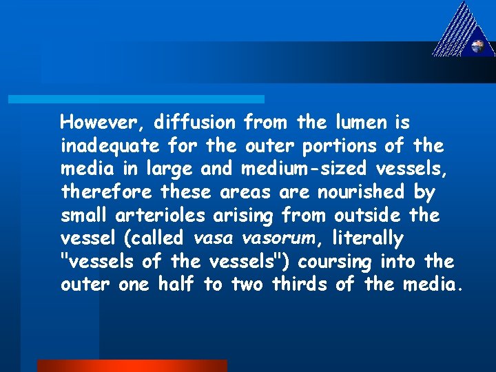 However, diffusion from the lumen is inadequate for the outer portions of the media