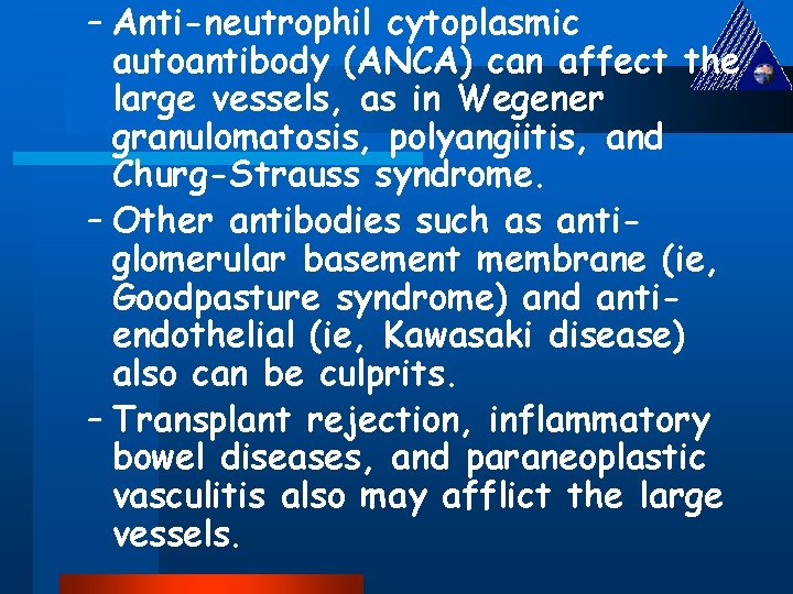 – Anti-neutrophil cytoplasmic autoantibody (ANCA) can affect the large vessels, as in Wegener granulomatosis,