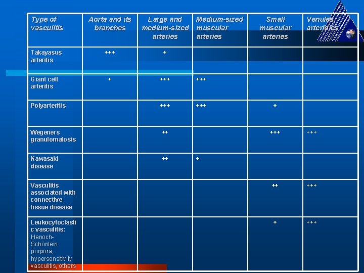 Type of vasculitis Aorta and its branches Large and medium-sized arteries Takayasus arteritis +++