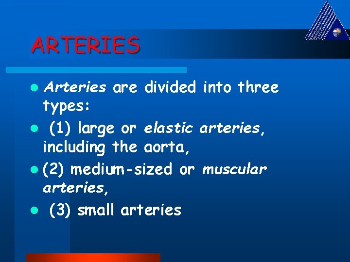 ARTERIES l Arteries are divided into three types: l (1) large or elastic arteries,