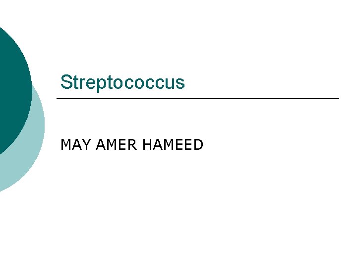 Streptococcus MAY AMER HAMEED 