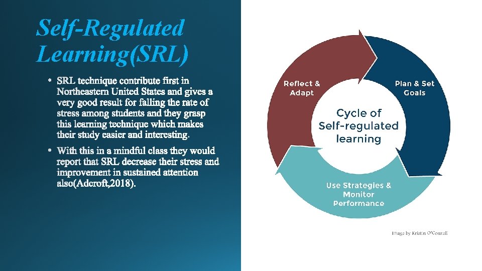 Self-Regulated Learning(SRL) 