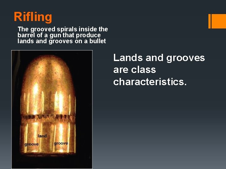 Rifling The grooved spirals inside the barrel of a gun that produce lands and