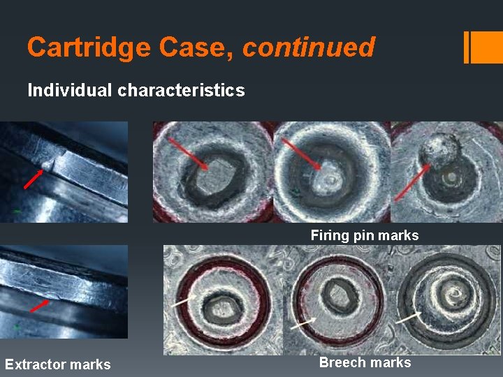 Cartridge Case, continued Individual characteristics Firing pin marks Extractor marks Breech marks 