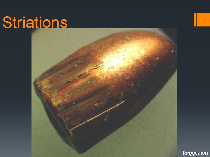 Striations bsapp. com 