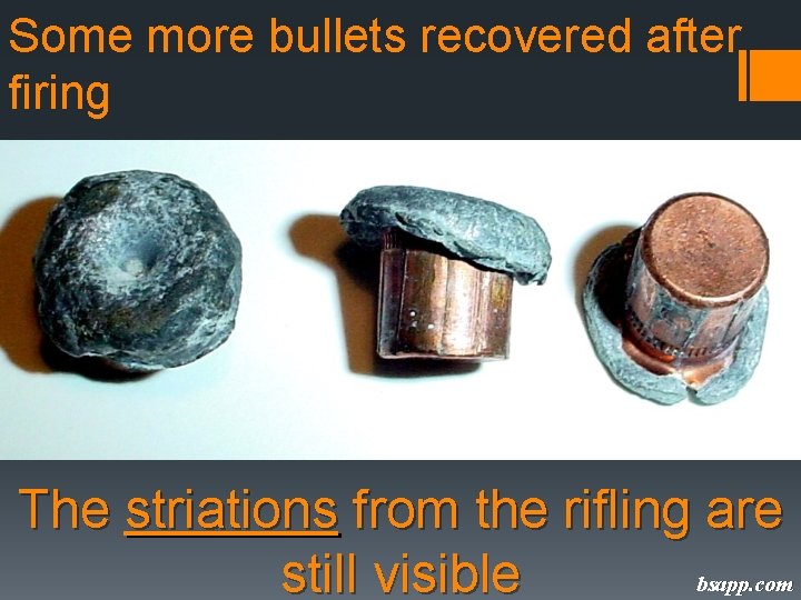 Some more bullets recovered after firing The striations from the rifling are bsapp. com