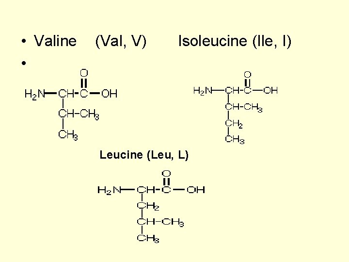 • Valine • (Val, V) Isoleucine (Ile, I) Leucine (Leu, L) • Valine • (Val, V) Isoleucine (Ile, I) Leucine (Leu, L)