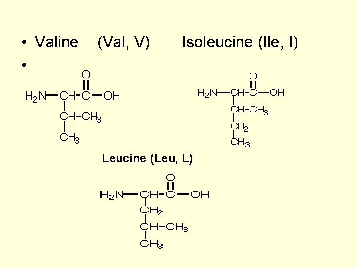  • Valine • (Val, V) Isoleucine (Ile, I) Leucine (Leu, L) 
