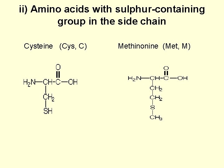 ii) Amino acids with sulphur-containing group in the side chain Cysteine (Cys, C) Methinonine