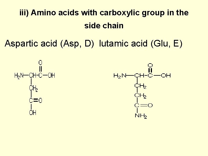 iii) Amino acids with carboxylic group in the side chain Aspartic acid (Asp, D)