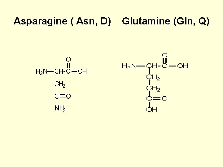 Asparagine ( Asn, D) Glutamine (Gln, Q) 