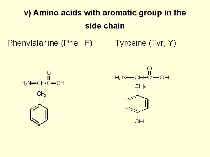 v) Amino acids with aromatic group in the side chain Phenylalanine (Phe, F) Tyrosine