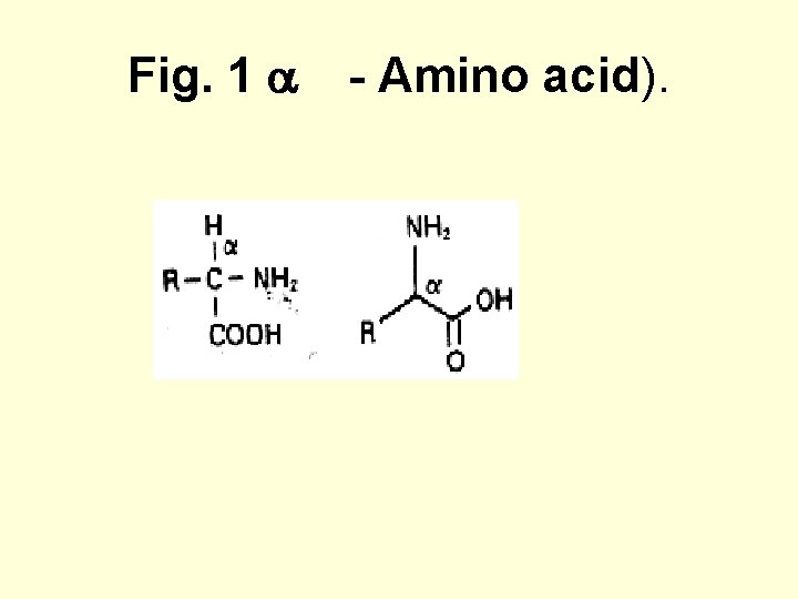 Fig. 1 - Amino acid). 