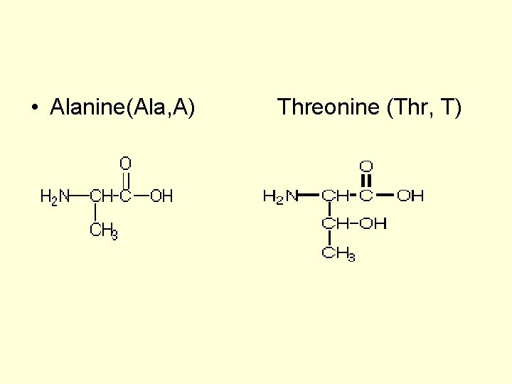  • Alanine(Ala, A) Threonine (Thr, T) 