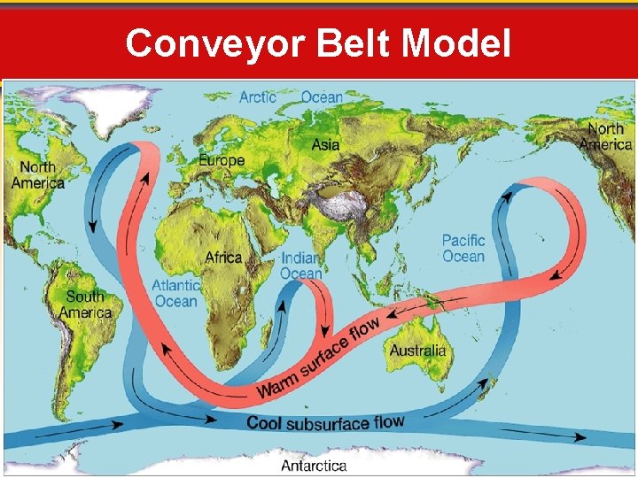 Conveyor Belt Model 